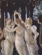 Sandro Botticelli La Primavera (mk39) oil painting artist